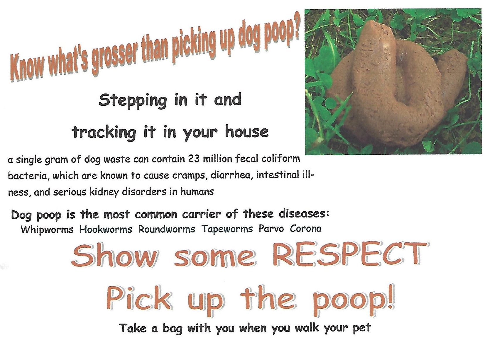 Poop